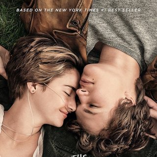 Fault In Our Stars, The Picture 1