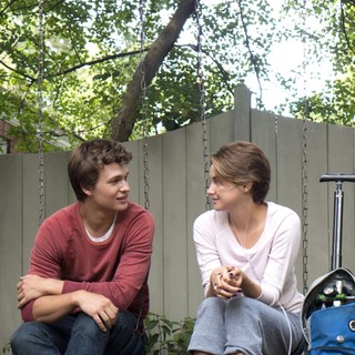Fault In Our Stars, The Picture 10