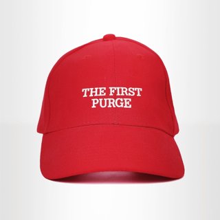 First Purge, The Picture 1