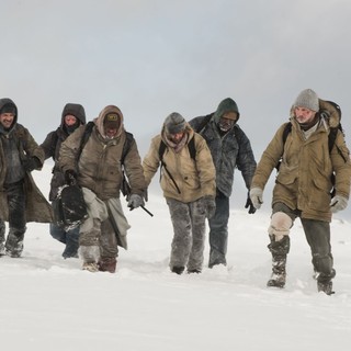 Grey, The Picture 2