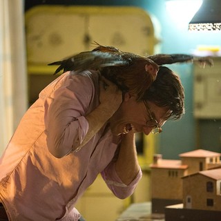 Hangover Part III, The Picture 13
