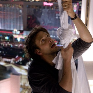 Hangover Part III, The Picture 22