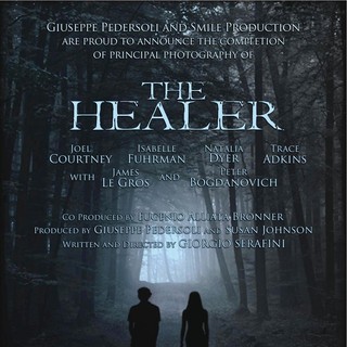 Poster of Braveart Films' The Healer (2013)