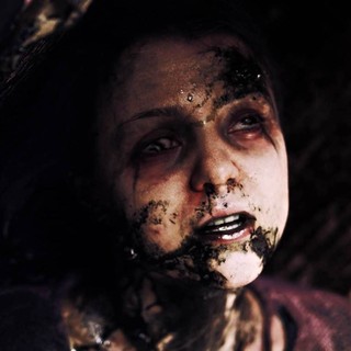 Hive, The Picture 3