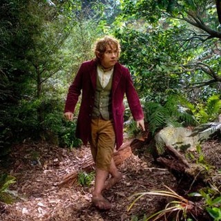 Hobbit: An Unexpected Journey, The Picture 16