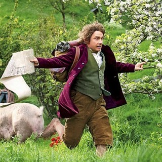 Hobbit: An Unexpected Journey, The Picture 31