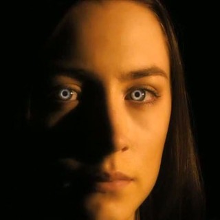 Host (2013), The Picture 6