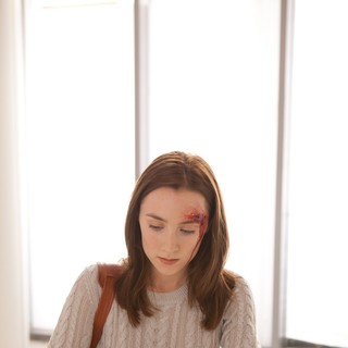Host (2013), The Picture 22