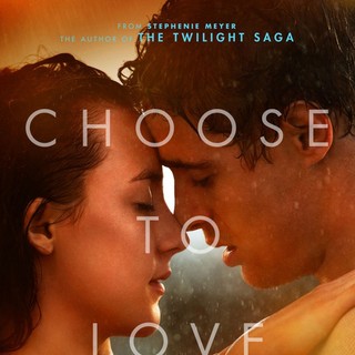 Host (2013), The Picture 17