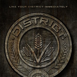 The Hunger Games Picture 12