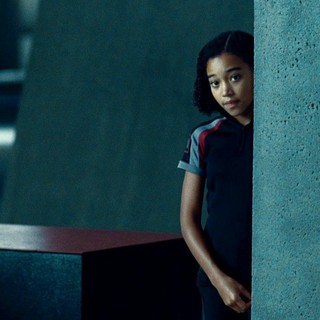 Hunger Games, The Picture 37