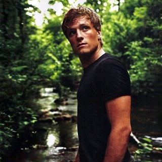 Hunger Games, The Picture 47