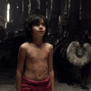 Jungle Book, The Picture 17