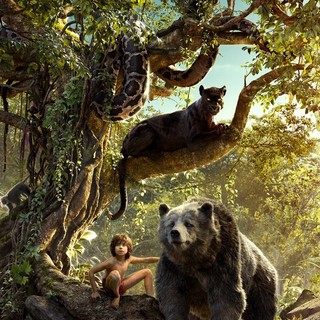 Jungle Book, The Picture 7