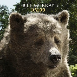 Jungle Book, The Picture 21