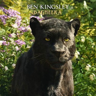 Jungle Book, The Picture 22