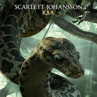 Jungle Book, The Picture 24
