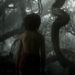 Jungle Book, The Picture 3