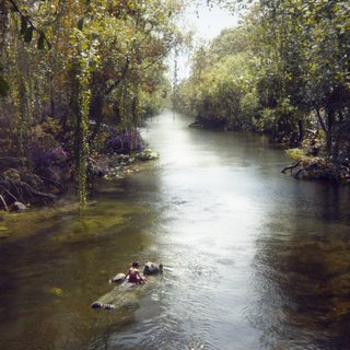 Jungle Book, The Picture 4