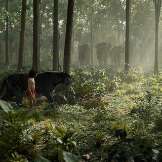A scene from Walt Disney Pictures' The Jungle Book (2016)