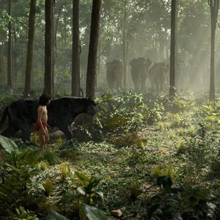 Jungle Book, The Picture 10