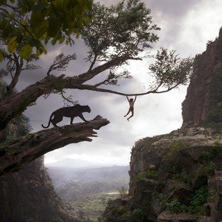 Jungle Book, The Picture 12