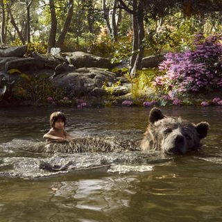 Jungle Book, The Picture 13