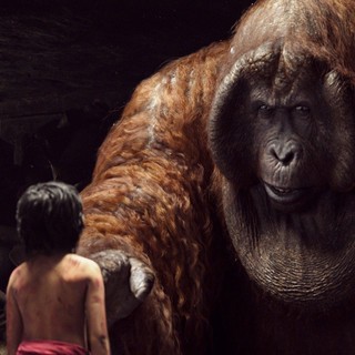 King Louie from Walt Disney Pictures' The Jungle Book (2016)