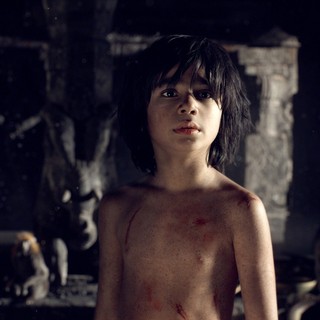 Jungle Book, The Picture 15