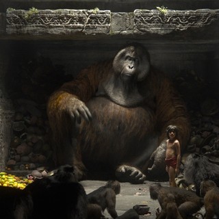 Jungle Book, The Picture 16