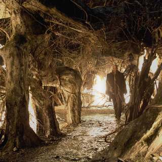 Last Witch Hunter, The Picture 23