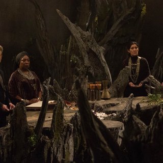 Last Witch Hunter, The Picture 29