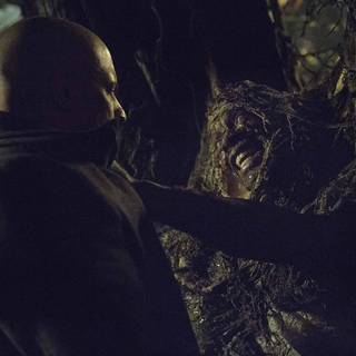 Last Witch Hunter, The Picture 35