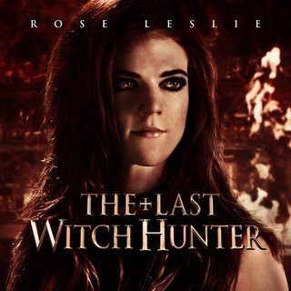 Last Witch Hunter, The Picture 12