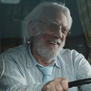 Leisure Seeker, The Picture 7