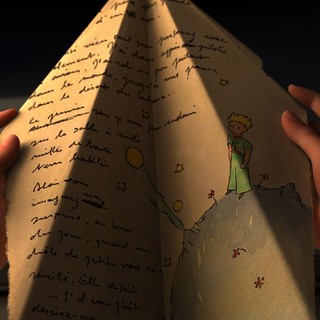 Little Prince, The Picture 5