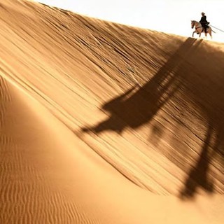 Lone Ranger, The Picture 19