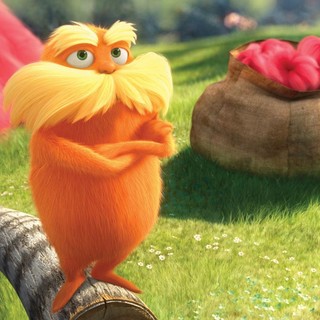 Lorax, The Picture 13