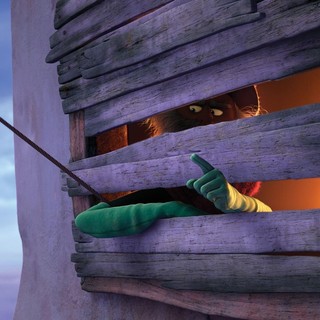 Lorax, The Picture 11