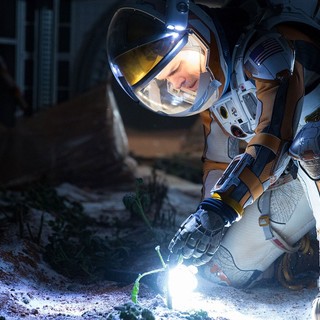 Martian, The Picture 2