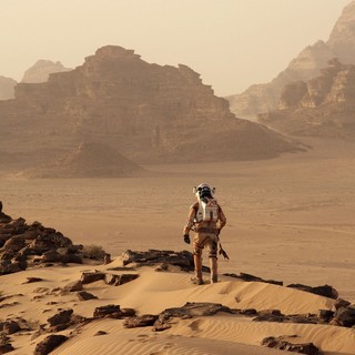 Martian, The Picture 3