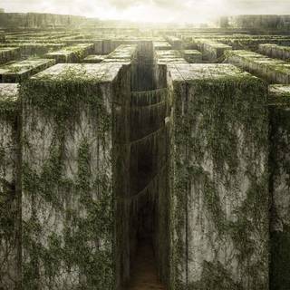 Maze Runner, The Picture 6