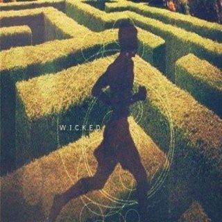 Maze Runner, The Picture 8