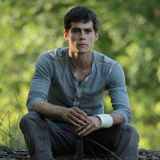 Maze Runner, The Picture 2
