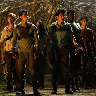Will Poulter, Dylan O'Brien, Ki Hong Lee and Aml Ameen in 20th Century Fox's The Maze Runner (2014)