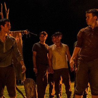Maze Runner, The Picture 9
