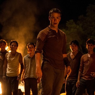 Maze Runner, The Picture 11