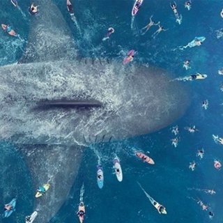 Meg, The Picture 3