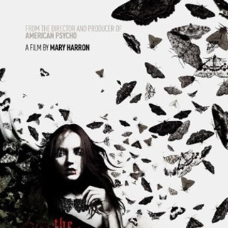 Moth Diaries, The Picture 5
