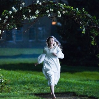 Moth Diaries, The Picture 6